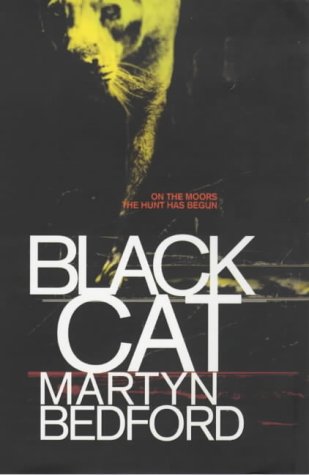 Black Cat (Paperback)