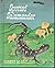 Spotted Salamander