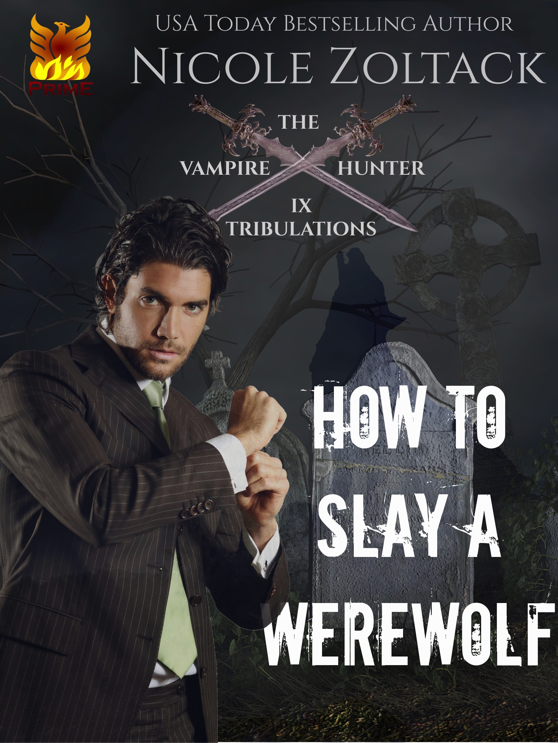 How to Slay a Werewolf (The Vampire Hunter Tribulations #9)