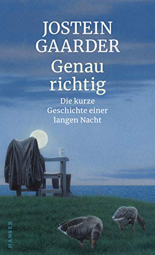 Genau richtig: Die kurze Geschichte einer langen Nacht (Kindle Edition)