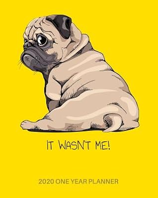 life with a pug