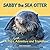 Sabby the Sea Otter: A Pup’s True Adventure and Triumph