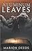 Aluminum Leaves (Broken Cit...
