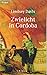 Zwielicht in Cordoba  (Marcus Didius Falco #8)
