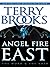 Angel Fire East (Word & Void, #3)