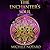 The Enchanter's Soul (The Ellwood Chronicles #2)