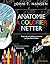 Anatomie À Colorier Netter