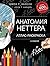Анатомия Неттера: атлас-раскраска