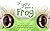 If You Were A Frog