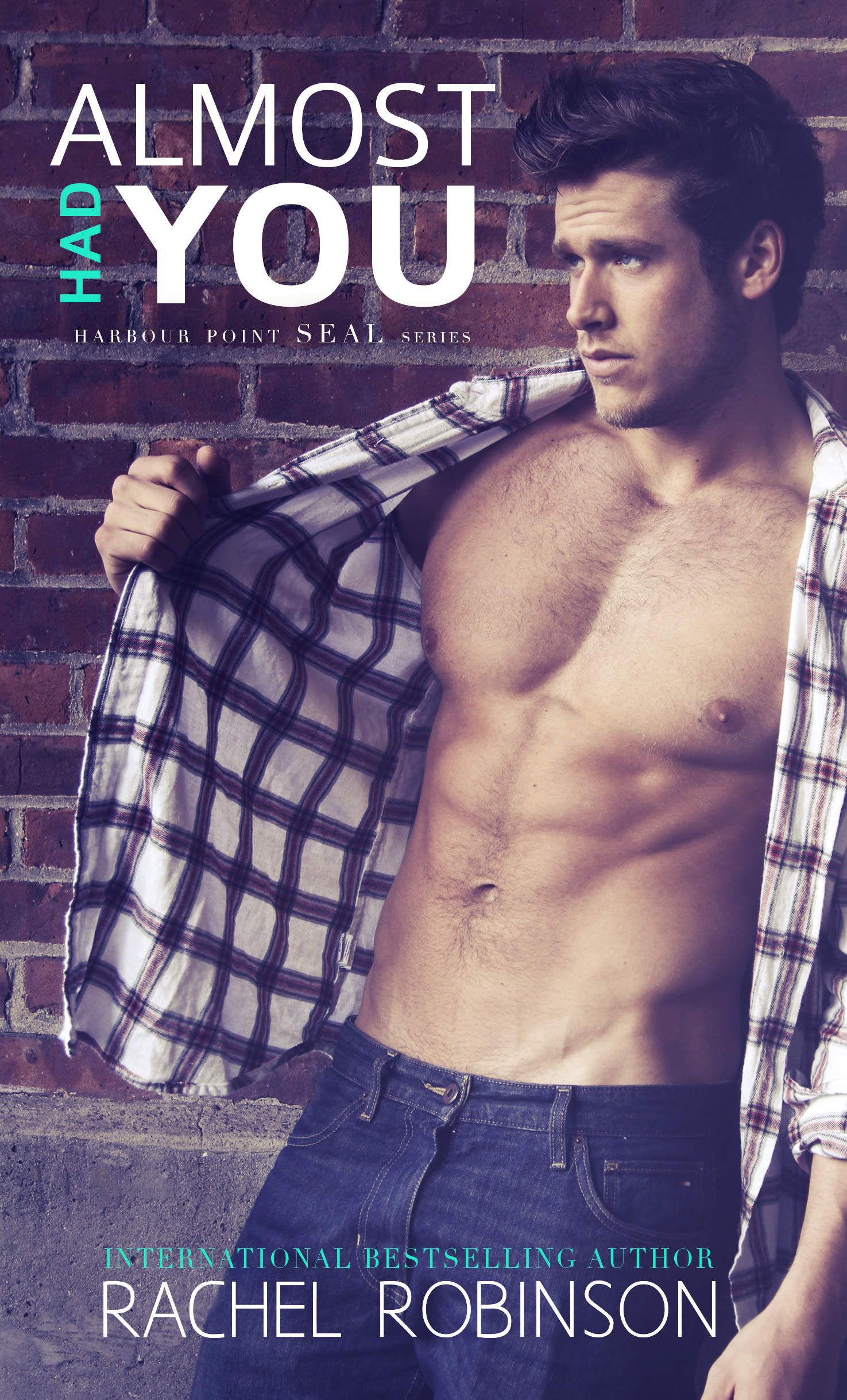 Almost Had You (Harbour Point Seal, #2)