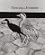 Graciela Iturbide: Las Condiciones del Pájaro Solitario
