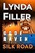 Silk Road (Code Raven #6)