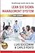 Lean Six Sigma Management S...