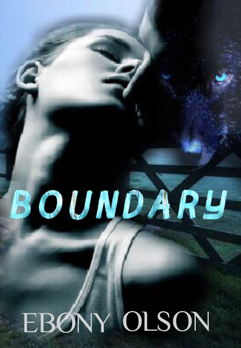 Boundary (Kindle Edition)