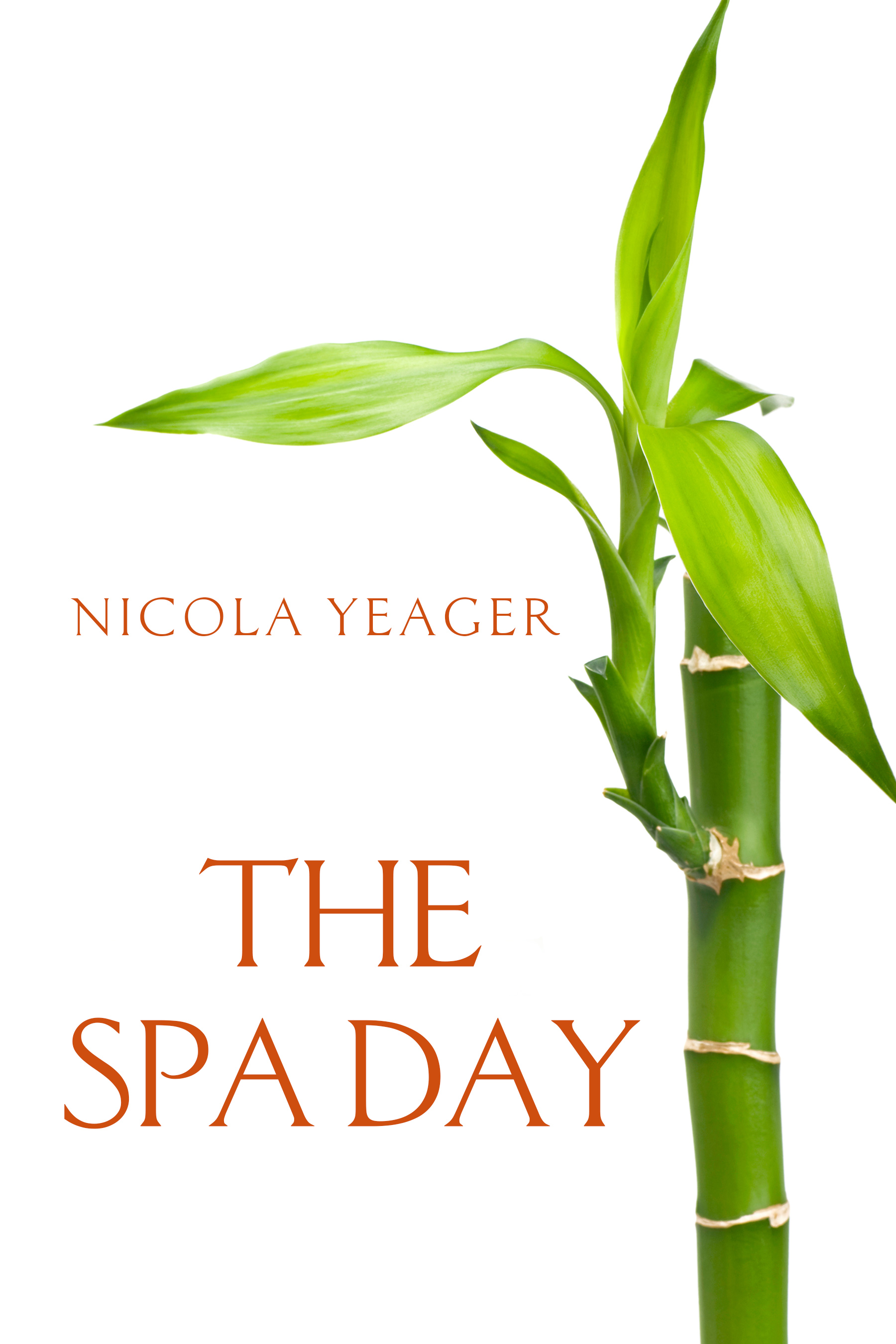 The Spa Day (Kindle Edition)