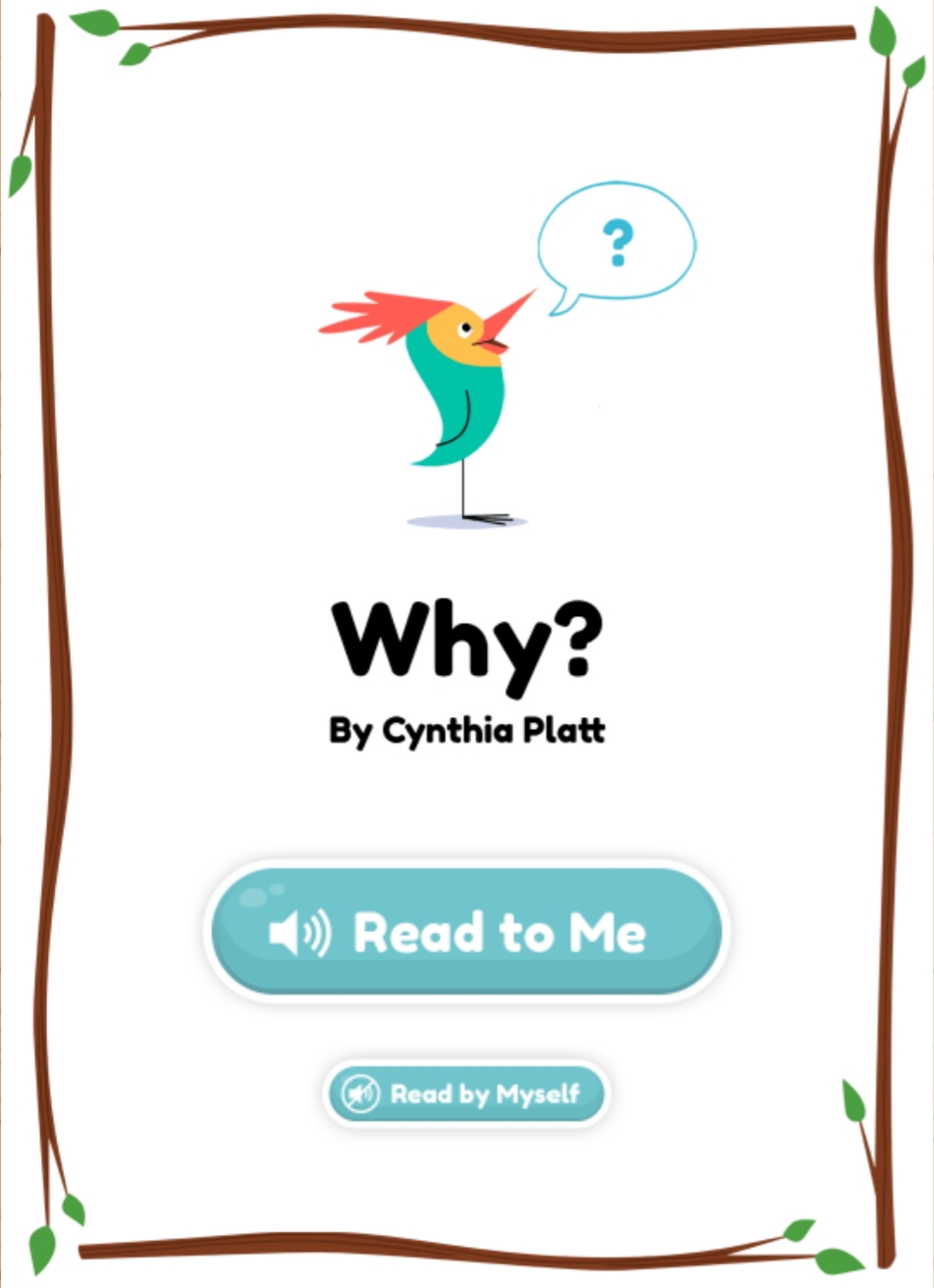Why? (ebook)