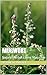 Mugwort: Natural Herbal Liv...