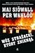 Wóz strażacki, który zniknął by Maj Sjöwall
