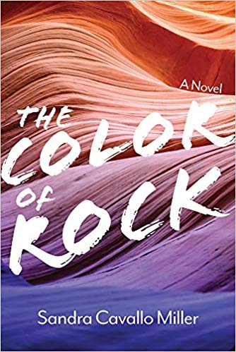 The Color of Rock (Hardcover)
