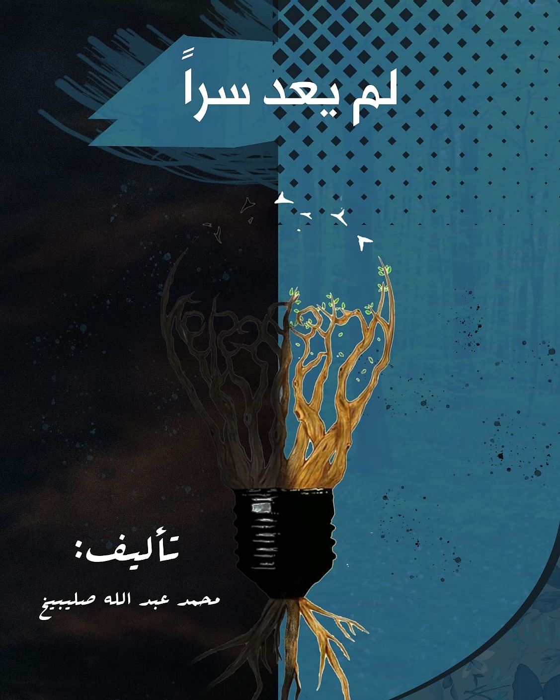 لم يعد سراً (Paperback)