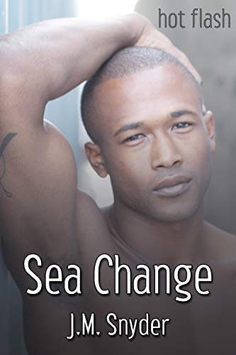 Sea Change (Kindle Edition)