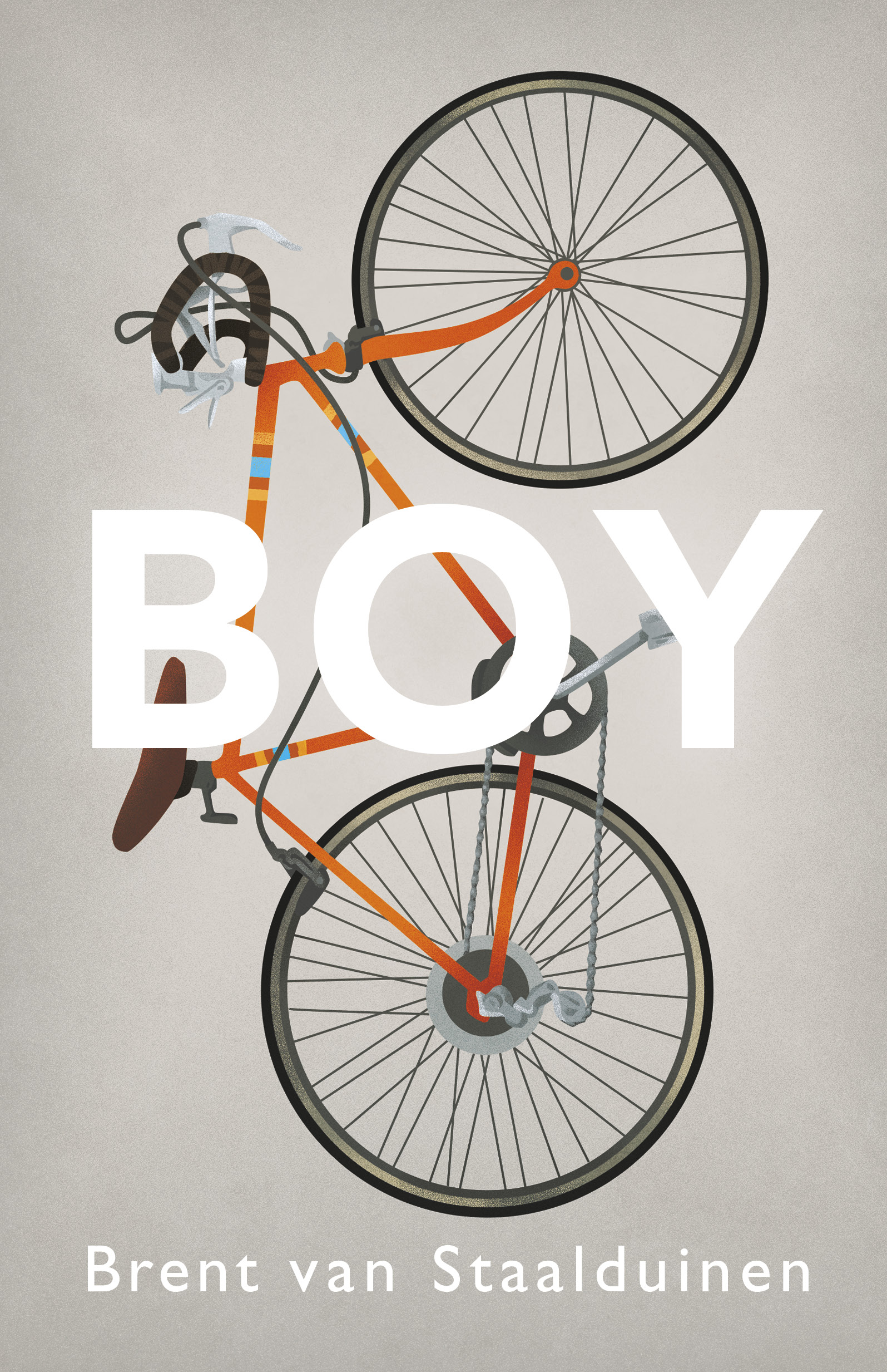 Boy (Paperback)