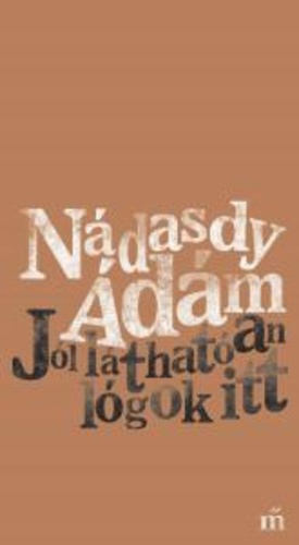 Jól láthatóan lógok itt (Hardcover)