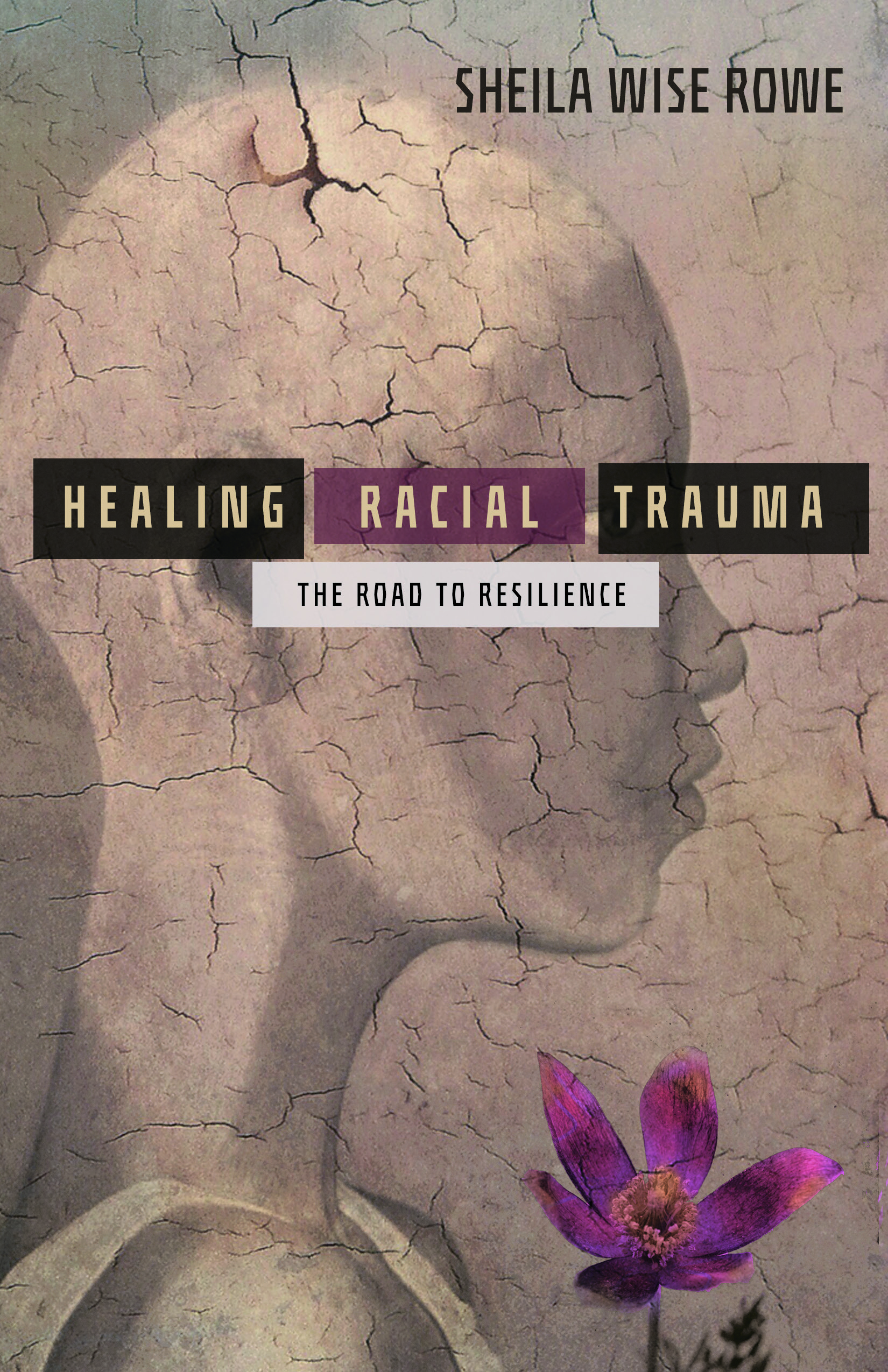 Healing Racial Trauma: The Road to Resilience (Paperback)