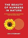 The Beauty of Num...