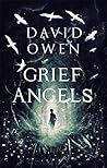 Grief Angels by David            Owen