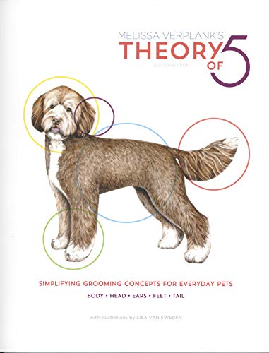 Theory Of 5 2019 (Paperback)