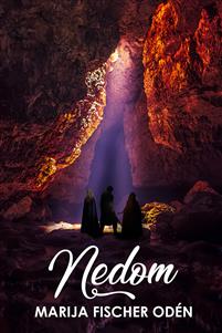 Nedom (Paperback)
