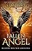 Fallen Angel by J.L. Myers