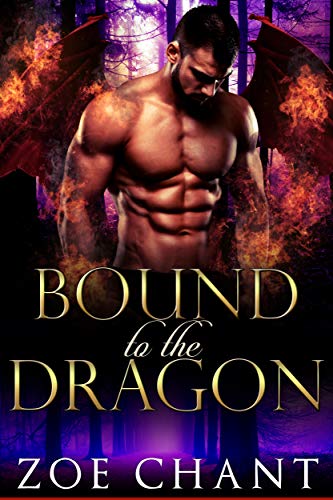 Bound to the Dragon (Lost Dragons, #5)