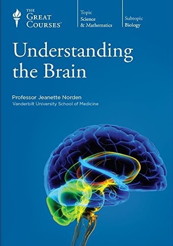 Understanding the Brain (Unknown Binding)