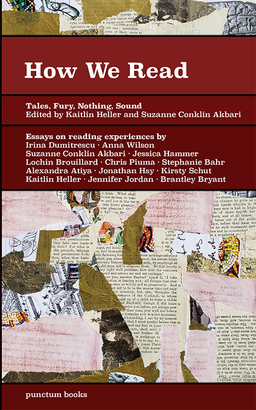 How We Read: Tales, Fury, Nothing, Sound (ebook)