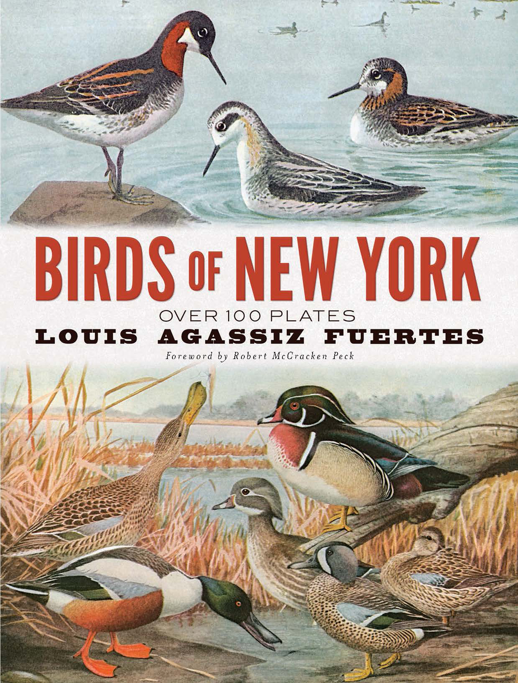 Birds of New York: Over 100 Plates (Paperback)