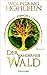 Der wandernde Wald - Enwor 1: Roman