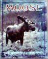 Moose Moose