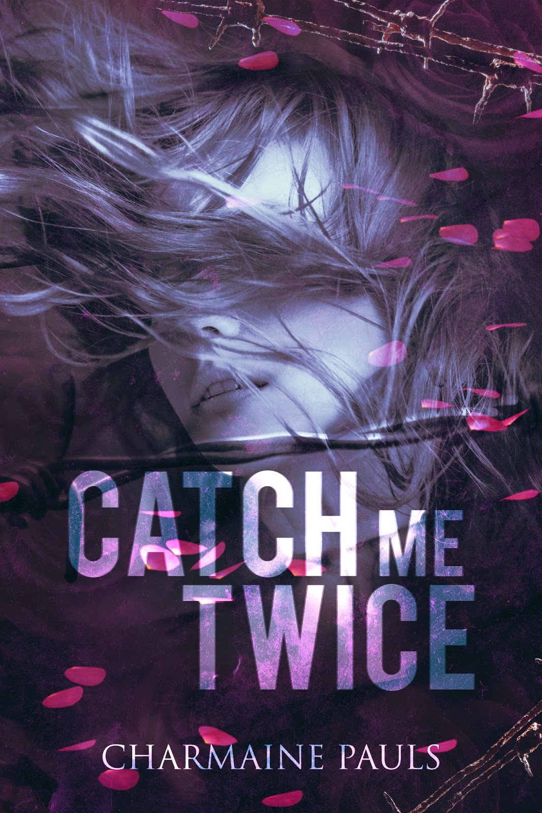 Catch Me Twice (Kindle Edition)