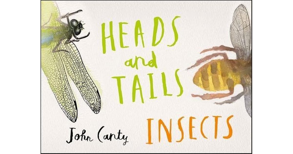 Heads and Tails Insects by John Canty