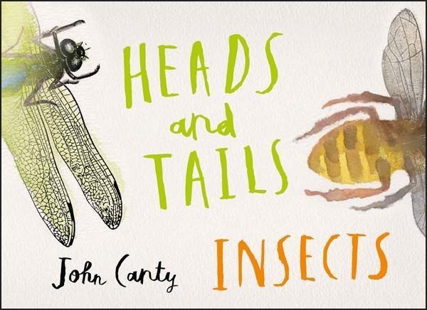 Heads and Tails: Insects (Hardcover)