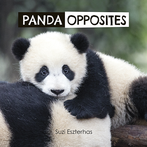 Panda Opposites (Board book)