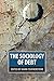 The sociology of debt