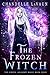 The Frozen Witch (The Coven: Academy Magic #4)