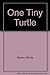 One Tiny Turtle