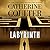 Labyrinth (FBI Thriller, #23)