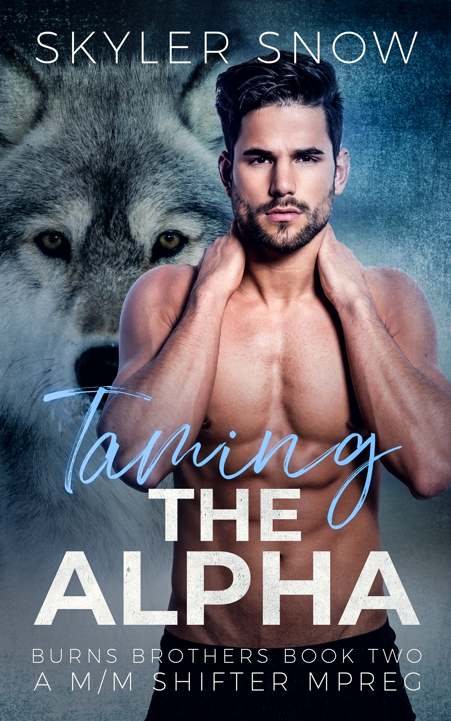Taming the Alpha (Burns Brothers, #2)