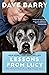 Lessons From Lucy: The Simple Joys of an Old, Happy Dog