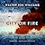 City on Fire (Metropolitan #2)
